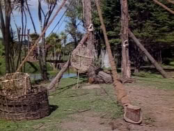 extant_HerculesAndTheAmazonWomen_1966