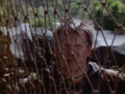 extant_HerculesAndTheAmazonWomen_1968