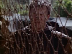 extant_HerculesAndTheAmazonWomen_1969