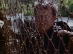 extant_HerculesAndTheAmazonWomen_1970