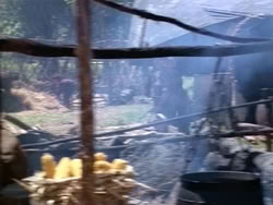 extant_HerculesAndTheAmazonWomen_2002