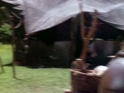 extant_HerculesAndTheAmazonWomen_2004