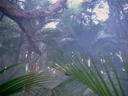 extant_HerculesAndTheAmazonWomen_2185