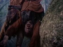 extant_HerculesAndTheAmazonWomen_2199