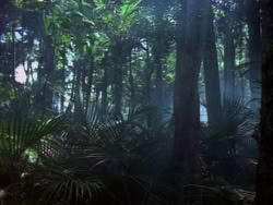 extant_HerculesAndTheAmazonWomen_2225