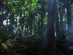 extant_HerculesAndTheAmazonWomen_2227