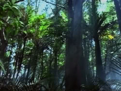 extant_HerculesAndTheAmazonWomen_2229