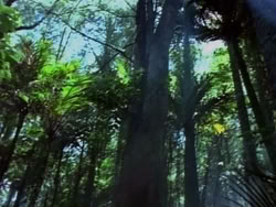 extant_HerculesAndTheAmazonWomen_2230