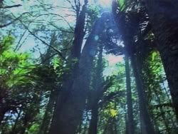 extant_HerculesAndTheAmazonWomen_2231