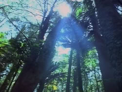extant_HerculesAndTheAmazonWomen_2232