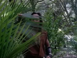 extant_HerculesAndTheAmazonWomen_2233