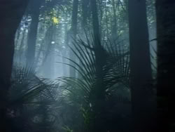 extant_HerculesAndTheAmazonWomen_2238