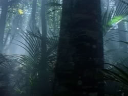 extant_HerculesAndTheAmazonWomen_2239