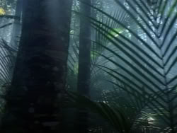 extant_HerculesAndTheAmazonWomen_2240
