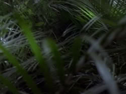 extant_HerculesAndTheAmazonWomen_2241