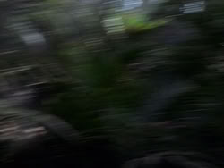 extant_HerculesAndTheAmazonWomen_2243