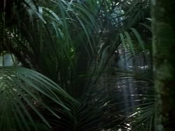 extant_HerculesAndTheAmazonWomen_2263