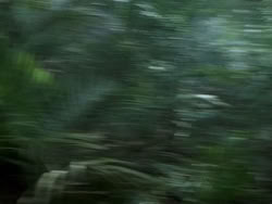 extant_HerculesAndTheAmazonWomen_2264