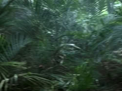 extant_HerculesAndTheAmazonWomen_2268