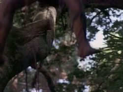 extant_HerculesAndTheAmazonWomen_2275