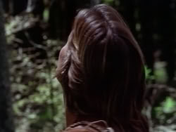 extant_HerculesAndTheAmazonWomen_2276