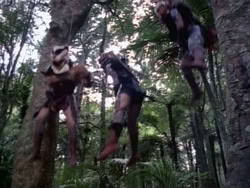 extant_HerculesAndTheAmazonWomen_2278