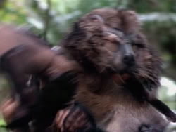 extant_HerculesAndTheAmazonWomen_2319