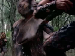 extant_HerculesAndTheAmazonWomen_2344