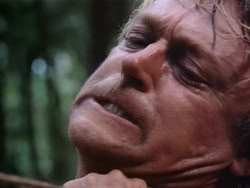 extant_HerculesAndTheAmazonWomen_2347
