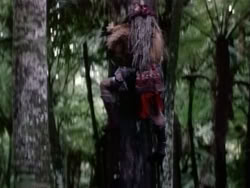 extant_HerculesAndTheAmazonWomen_2372