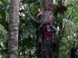 extant_HerculesAndTheAmazonWomen_2373