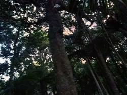 extant_HerculesAndTheAmazonWomen_2381