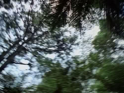 extant_HerculesAndTheAmazonWomen_2384