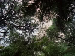 extant_HerculesAndTheAmazonWomen_2385