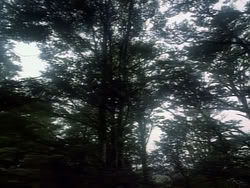 extant_HerculesAndTheAmazonWomen_2391