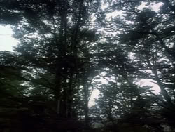 extant_HerculesAndTheAmazonWomen_2392