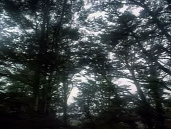extant_HerculesAndTheAmazonWomen_2393