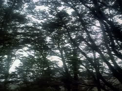 extant_HerculesAndTheAmazonWomen_2395