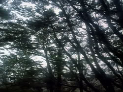 extant_HerculesAndTheAmazonWomen_2396