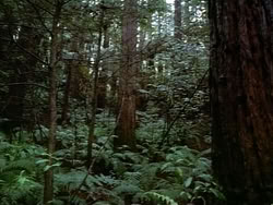 extant_HerculesAndTheAmazonWomen_2397