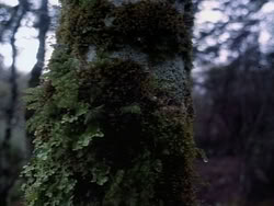 extant_HerculesAndTheAmazonWomen_2400