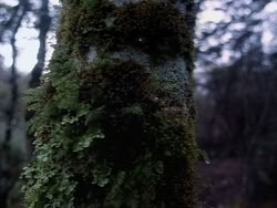 extant_HerculesAndTheAmazonWomen_2401
