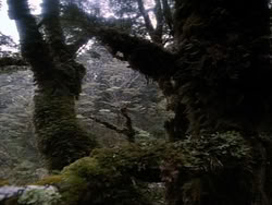 extant_HerculesAndTheAmazonWomen_2406