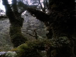extant_HerculesAndTheAmazonWomen_2407