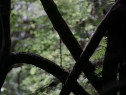 extant_HerculesAndTheAmazonWomen_2409