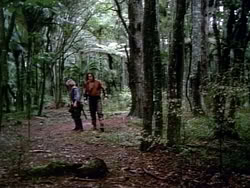 extant_HerculesAndTheAmazonWomen_2412