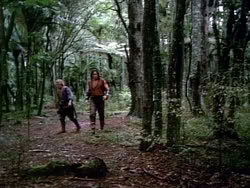 extant_HerculesAndTheAmazonWomen_2413