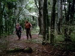 extant_HerculesAndTheAmazonWomen_2414