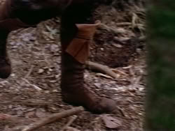 extant_HerculesAndTheAmazonWomen_2422