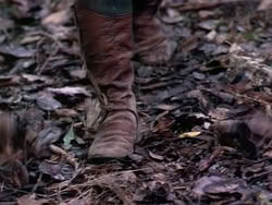extant_HerculesAndTheAmazonWomen_2426